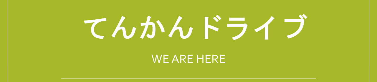 てんかんドライブ